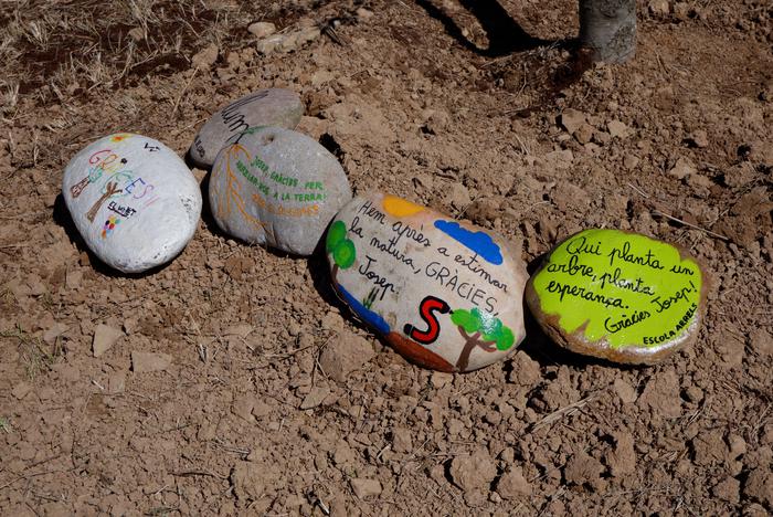 Les pedres amb missatge fetes per les escoles del Solsonès