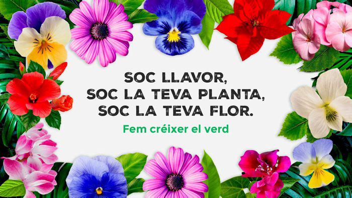 Imatge de la campanya 'Fem créixer el verd', que té per objectiu apropar al consumidor català les flors i plantes ornamentals cultivades a Catalunya.