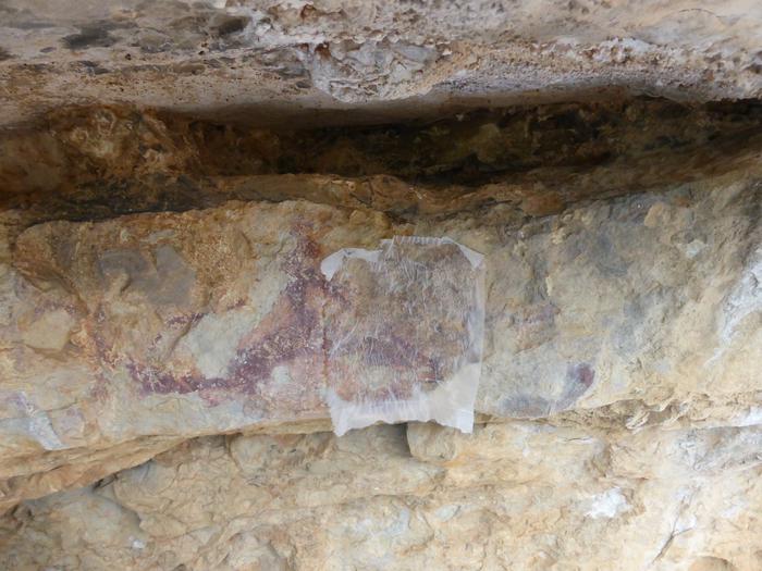 Les pintures podrien tenir uns 8.000 anys d'antiguitat