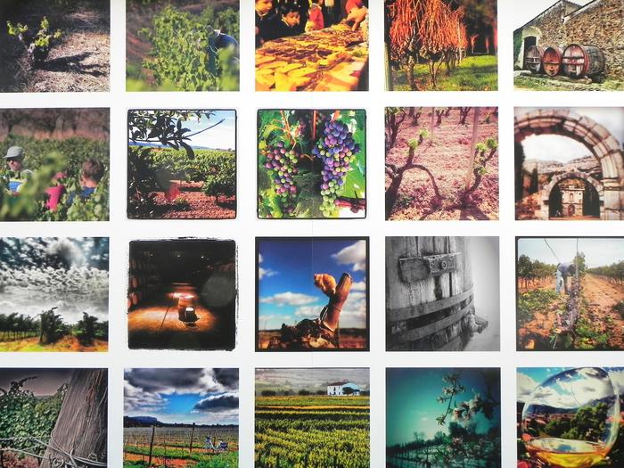 Les fotos premiades al concurs d'Instagram  'Els vins catalans triomfen'