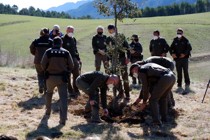 Agents rurals plantant l'arbre