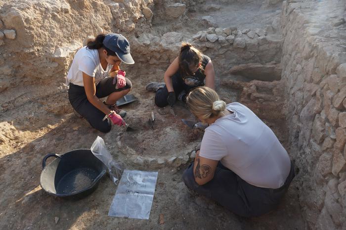 Fotografia: Alumnes del 75è Curs d'Arqueologia d'Empúries excavant les restes d'una casa grega del segle VI aC (MAC Empúries)