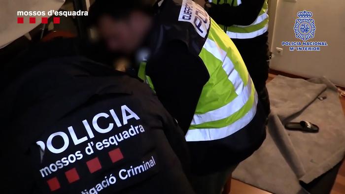 Els Mossos d¿Esquadra i la Policia Nacional desarticulen un grup criminal que operava des del Maresme i llogava cases i naus industrials amb documentació falsa per cultivar-hi marihuana 