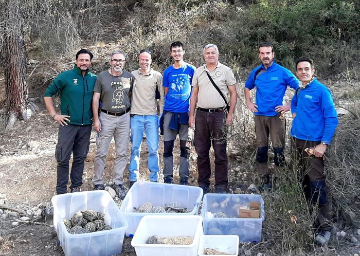 El Parc Natural de la Serra de Montsant ha alliberat al medi unes 60 tortugues mediterrànies